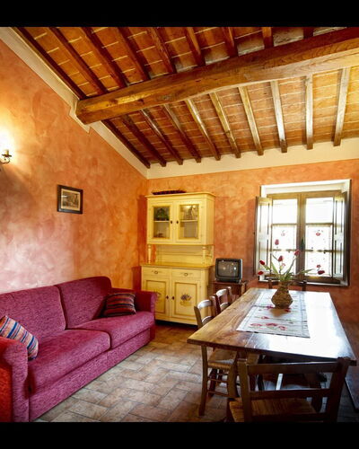 La Ginestra