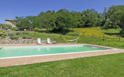 Casalini: Plante, Ciel, L'Eau, Piscine, Rectangle, Arbre, Lot Terre, Ombre, Herbe, Loisir