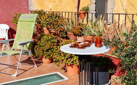 Sant Joan: Plante, Propriété, Meubles, Chaise, Botanique, Mobilier De Jardin, Orange, Tableau De Plein Air, Architecture, Design Intérieur