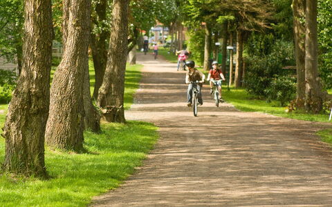 Geesthof: Vélo, Plante, Roue, Arbre, Surface De La Route, Paysage Naturel, Lumière Du Soleil, Asphalte, Herbe, Rue