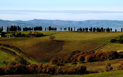 Dante: Prairie, Paysage Naturel, Colline, Montagnes, Vert, Montagnes Relief, Pâturage, Environnement Naturel, Ciel, Montagne