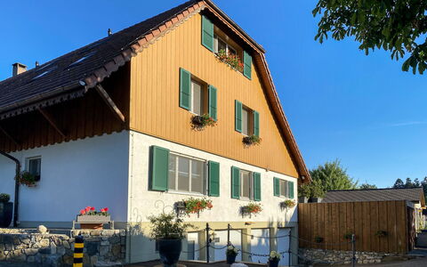 Wangenried 100: Ciel, Plante, Bâtiment, Fenêtre, Propriété, Pot De Fleur, Maison, Bois, Arbre, Plante D'Appartement