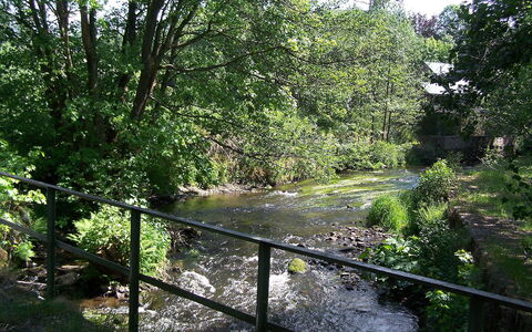 Vielsalm: Paysage Naturel, Végétation, Réserve Naturelle, La Nature, Environnement Naturel, Arbre, Riparienne, Biome, Forêt, Ripisylve