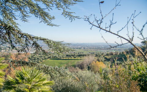 Villa Pedone: Ciel, Plante, Communauté Des Plantes, Paysage Naturel, Lot Terre, Arbre, Brindille, Herbe, Paysage, Plaine