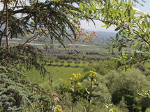Villa Pedone