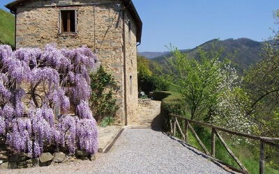 Farmhouse with shared swimmingpool Tuscany