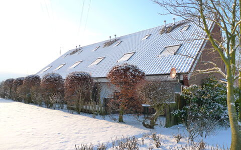 Koralle: Plante, Ciel, Bâtiment, Fenêtre, Neige, Maison, Paysage Naturel, Pente, Arbre, Chalet