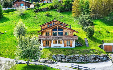 Nendaz 244: Bâtiment, Plante, Propriété, Vert, Paysage Naturel, Fenêtre, Maison, Botanique, Lot Terre, Arbre