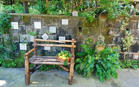 Il Montano: Végétation, Jardin, Botanique, Banc, Meubles, Plante, Mobilier De Jardin, Fleur, Arrière-Cour, Table