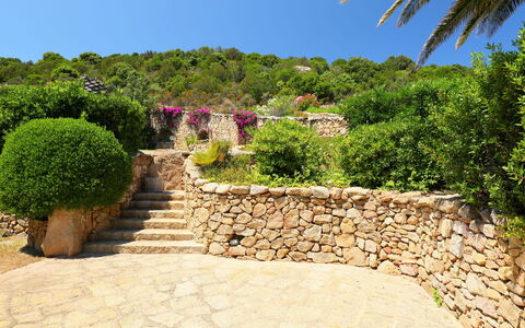Paradiso: Propriété, Végétation, Jardin, Mur, Maison, Arbre, Immobilier, Botanique, Arbuste, Plante