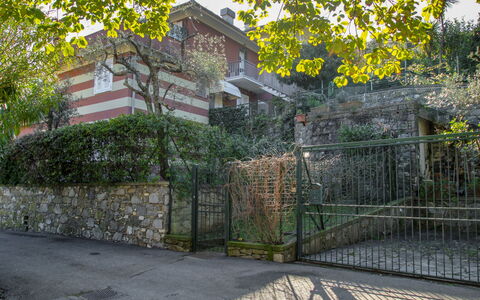 Il Pigno: Plante, Bâtiment, Clôture, Surface De La Route, Arbre, Ciel, Maison, Suppression Des Plantes Ligneuses, Herbe, Paysage