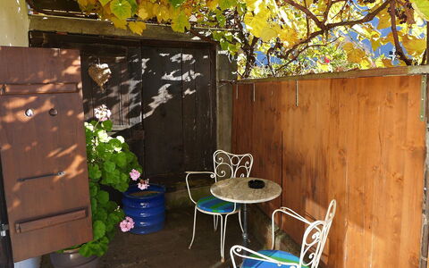 Am Brienzersee: Plante, Botanique, La Nature, Chaise, Pot De Fleur, Branche, Bois, Jaune, Arbre, Biome