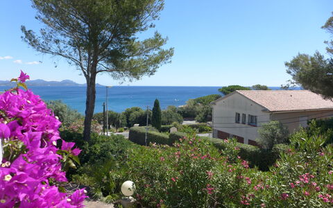 Carpe Diem: Fleur, Ciel, Plante, Propriété, Fenêtre, Botanique, Arbre, Bâtiment, Paysage Naturel, Maison