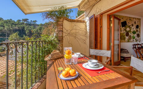 Vista Halcon: Table, Meubles, Propriété, Vaisselle, Chaise, Bois, Design Intérieur, Plante, Orange, Ombre
