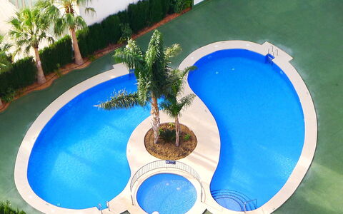 Ambar Beach: Plante, L'Eau, Bleu Azur, Vert, Bleu, Arbre, Bâtiment, Arecales, Design Urbain, Plan D'Eau