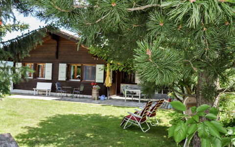Himmulriich: Plante, Communauté Des Plantes, Botanique, Bâtiment, Feuille, Arecales, Ombre, Végétation, Mobilier De Jardin, Arbre