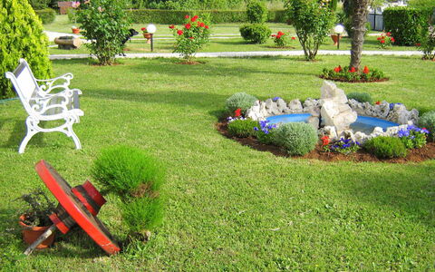 Cvjetko: Pelouse, Cour, Jardin, Herbe, Arrière-Cour, Aménagement Paysager, Famille Grass, Arbuste, Paysage, Plante