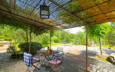 Nest: Propriété, Immobilier, Bâtiment, Cour, Maison, Arrière-Cour, Patio, Loisir, Ombre, Jardin