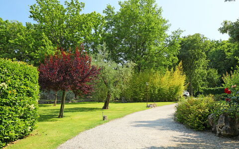 Nest: Plante, Ciel, La Nature, Feuille, Paysage Naturel, Éclairage Public, Arbre, Lot Terre, Surface De La Route, Herbe