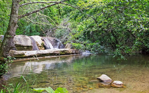 La Valchiera: L'Eau, Plante, Communauté Des Plantes, Paysage Naturel, Printemps, Arbre, Plan D'Eau, Terrestre Des Plantes, Cours D'Eau