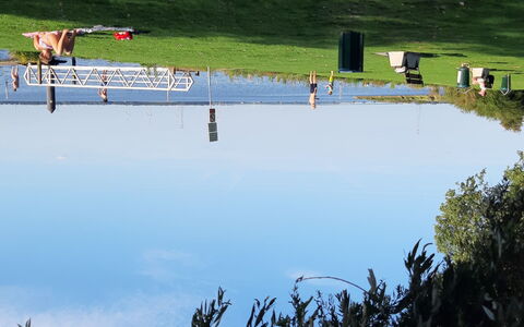 Polderzicht: L'Eau, Plante, Plan D'Eau, Lac, Cours D'Eau, Loisir, Des Loisirs, Paysage Naturel, Voie Navigable, Herbe