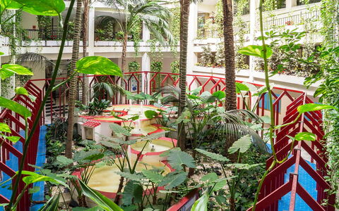Benalbeach: Plante, Botanique, Terrestre Des Plantes, Bâtiment, Végétation, Arbre, Biome, Design Urbain, Loisir, Arbuste