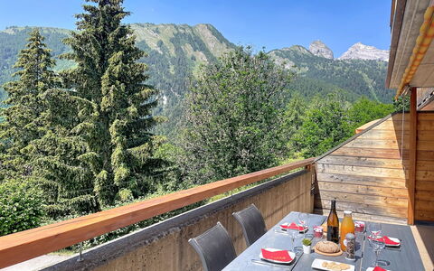 Cornalin 2: Montagne, Chaîne De Montagnes, Station De Montagne, Alpes, Vallée, Mélèze, Crête, Dur, Balcon