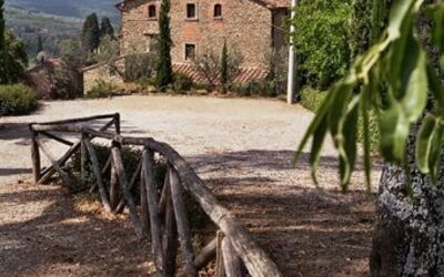 Logement:&nbsp;Picchio 2