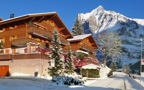 Firstsunne: Ciel, Bâtiment, Neige, Plante, Montagne, Fenêtre, Pente, Arbre, Maison, Mélèze
