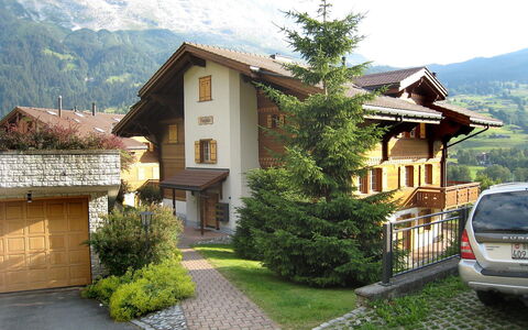 Chalet Nagano: Propriété, Maison, Bâtiment, Domicile, Immobilier, Zone Résidentielle, Ville, Architecture, Toit, Montagne