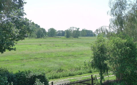 Villa Sorgenfrei: Paysage Naturel, Réserve Naturelle, Propriété, Pâturage, Lot Terre, Environnement Naturel, Herbe, Prairie, Arbre, Prairie