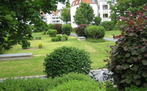 Kamelienweg: Plante, Fenêtre, Bâtiment, Arbre, Végétation, Haie, Herbe, Maison, À Feuilles Persistantes, Paysage