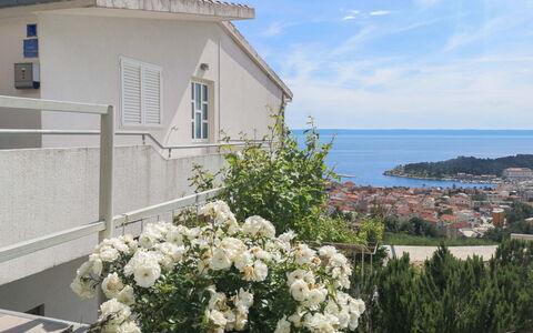 Makarska 592: Fleur, Nuage, Ciel, Plante, Propriété, Bâtiment, Fenêtre, L'Eau, Maison, Arbre