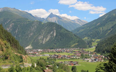 Hauser