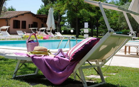 Grosseto 825: Plante, Meubles, Balancelle, Arbre, Mobilier De Jardin, Confort, Ciel, Chaise, Loisir, Accoudoir