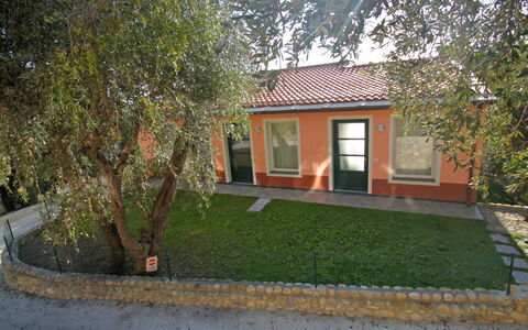 Imperia 530: Plante, Bâtiment, Fenêtre, Maison, Lot Terre, Chalet, Arbre, Surface De La Route, Herbe, Ombre