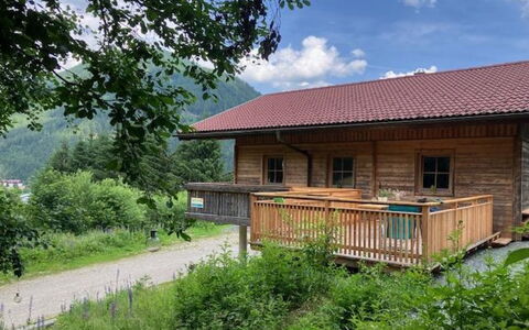 Chalet Venus: Plante, Ciel, Fenêtre, Bâtiment, Nuage, Maison, Arbre, Bois, Architecture, Lot Terre