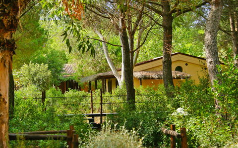 Castiglione della Pescaia 130: Plante, Communauté Des Plantes, Bâtiment, Arbre, Feuille, Fenêtre, Paysage Naturel, Bois, Végétation, Lot Terre