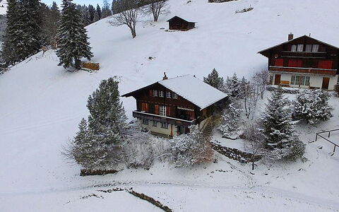 Wengen 150: Neige, Ciel, Fenêtre, Bâtiment, La Nature, Montagne, Pente, Maison, Arbre, Monde