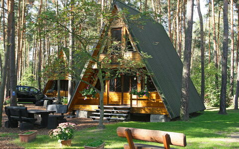 Arendsee 100: Plante, Botanique, Bois, Arbre, Ombre, Mobilier De Jardin, Paysage Naturel, Herbe, Extérieur Banc, Loisir