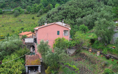 Cristina: Plante, Bâtiment, Propriété, Fenêtre, Paysage Naturel, Maison, Végétation, Lot Terre, Biome, Chalet