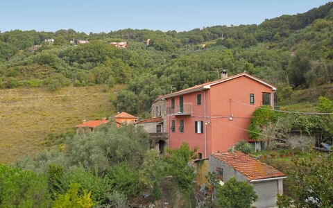 Cristina: Plante, Bâtiment, Ciel, Communauté Des Plantes, Fenêtre, Arbre, Maison, Paysage Naturel, Lot Terre, Biome