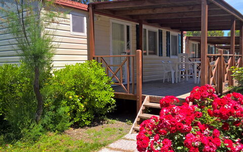 Cecina 250: Fleur, Plante, Propriété, Fenêtre, Bâtiment, Ciel, Nuage, Ombre, Bois, Chalet