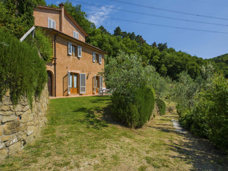 Vinci 155