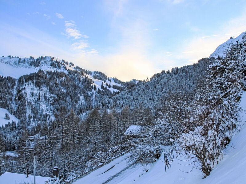 Chalet les 3 Marmottes
