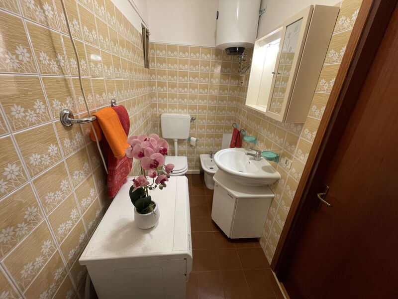 Logement:&nbsp;Solarium 450.6