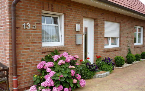 Reissmann: Fleur, Plante, Fenêtre, Bâtiment, Maison, Porte, Mur, Herbe, Brickwork, Immobilier
