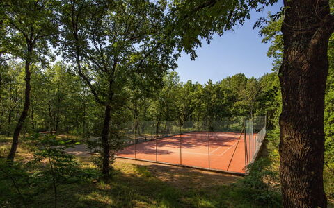 Villa Sant' Angelo: Arbre, Branche, Tronc, Ombre, Lumière Du Soleil, Printemps, Des Bois, Brindille, Bosquet