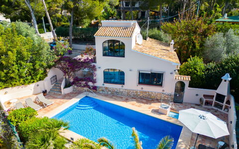 Lisa: Plante, Bâtiment, Propriété, L'Eau, Fenêtre, Piscine, Bleu Azur, Arbre, Chaise, Maison