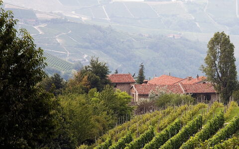 Borgo del Riondino: Végétation, Station De Montagne, Atmospherique Phénomène, Montagnes, Zone Rurale, Plantation, Colline, Montagne, Arbre, Village De Montagne